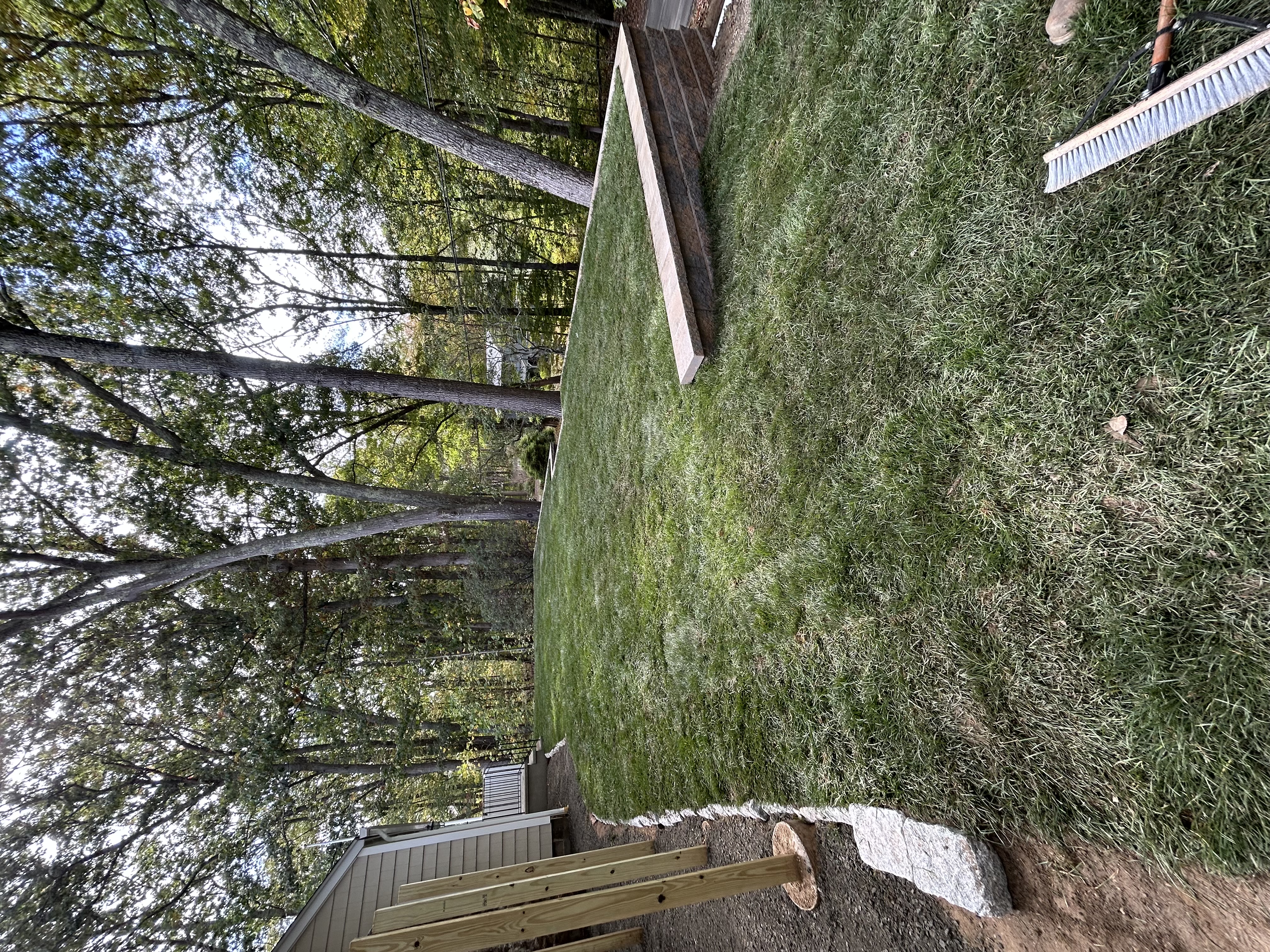 Residential backyard