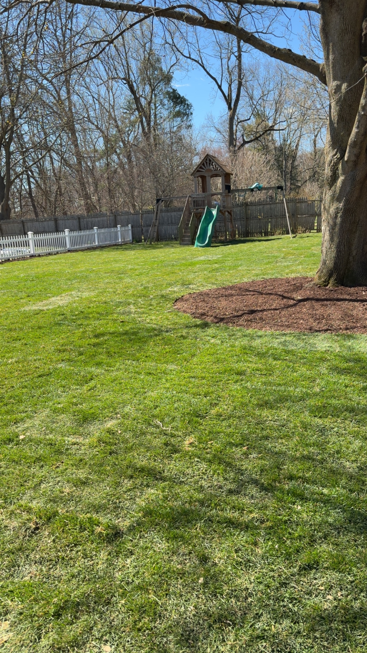 Finished sod project