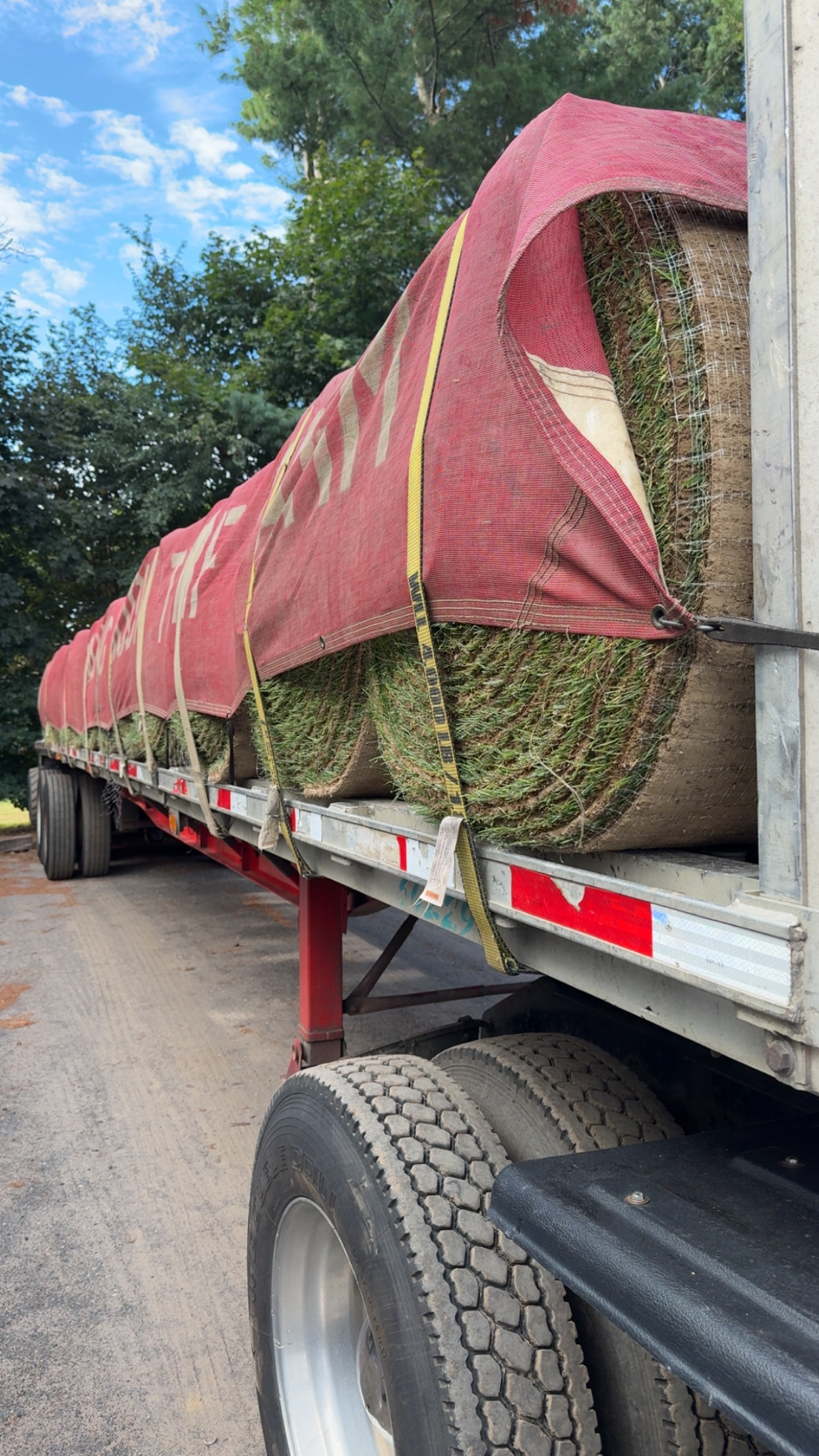 SOD City Professional Sod Installation